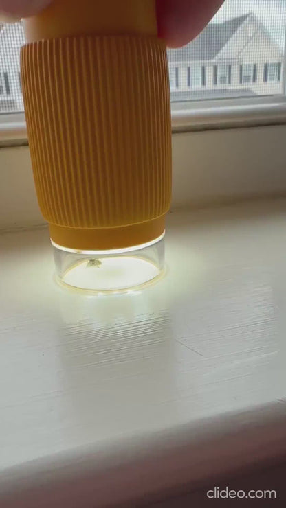 Turn Screen Time into Discovery: SproutLab Microscope